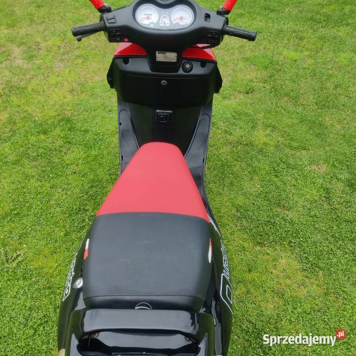 Zipp QuadraQuantum GT5 5070cc 2T świętokrzyskie Cedzyna