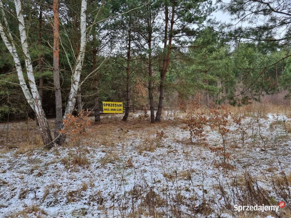 Zalew Domaniów działka do sprzedania Brudnów