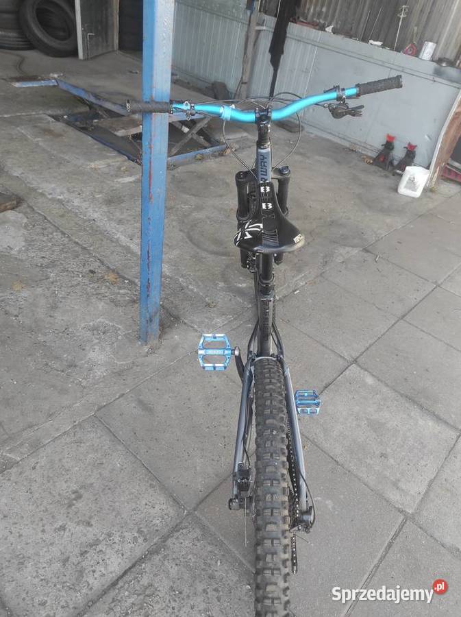 Dartmoor Blue Bird Evo 2022 Górskie, MTB