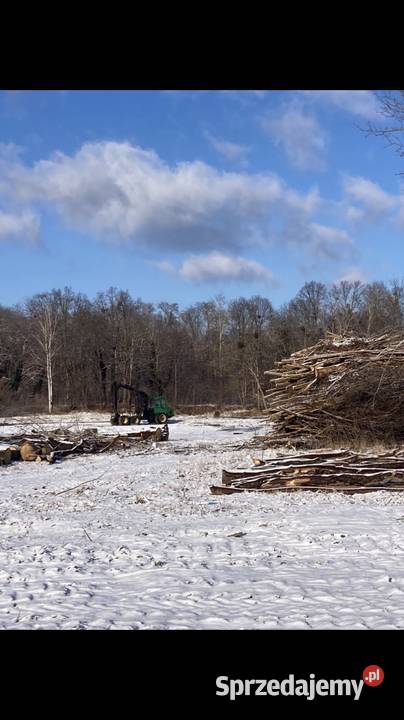 Biomasa energetyczna 4000 pln z 1 mp3 Wołów