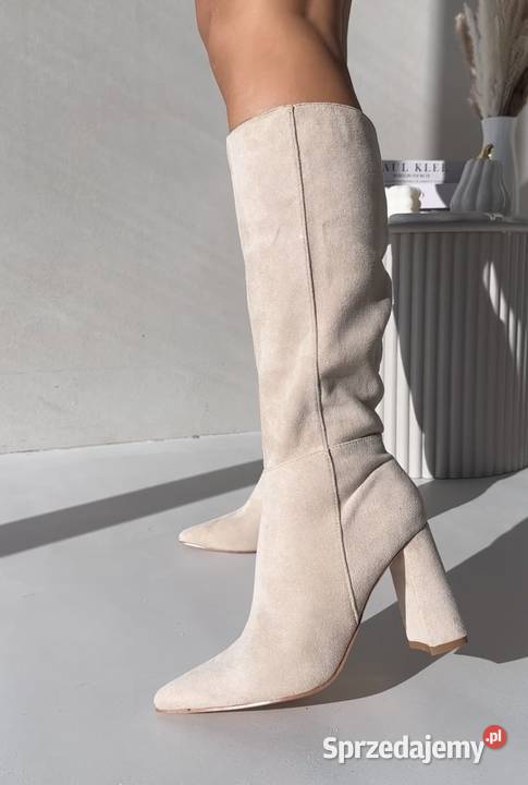 Kozaki na słupku Piotrków Trybunalski