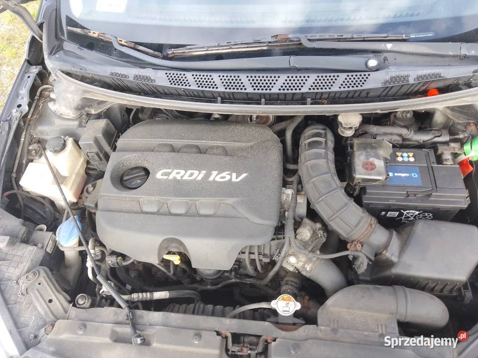 KIA CEED Kombi 16 CRDi 110 warmińsko-mazurskie Iława