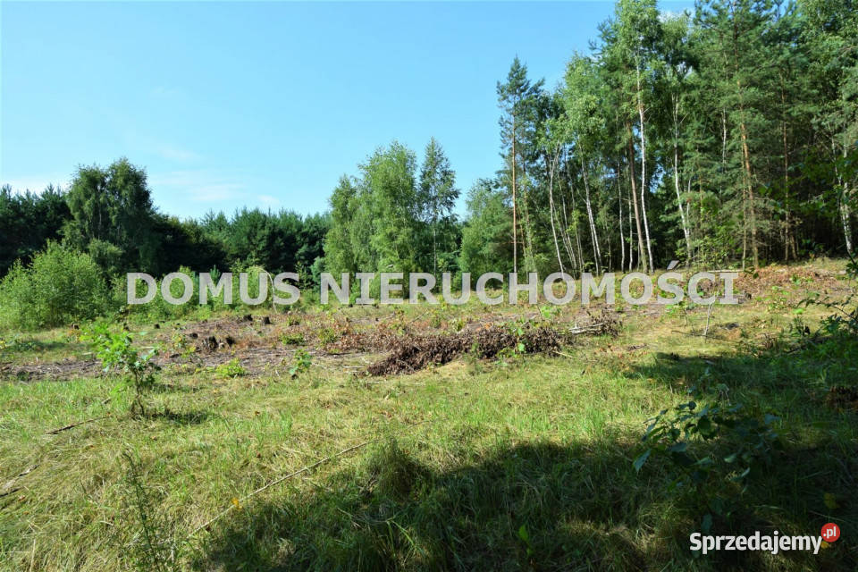 sprzedaży gruntu 29000m2 Taurów woda Nieruchomości