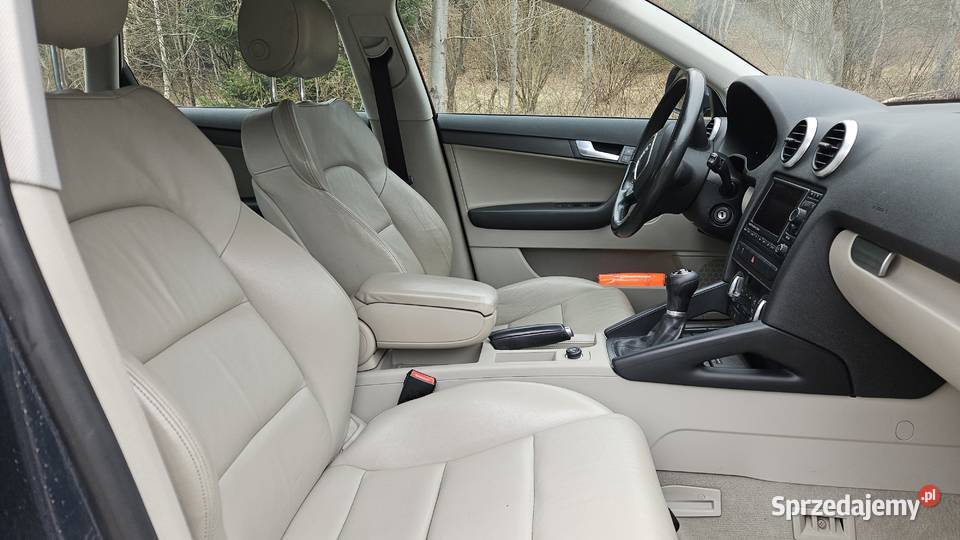 Audi A3 16 TDI Sportback DPF Ambition Przyborów sprzedam