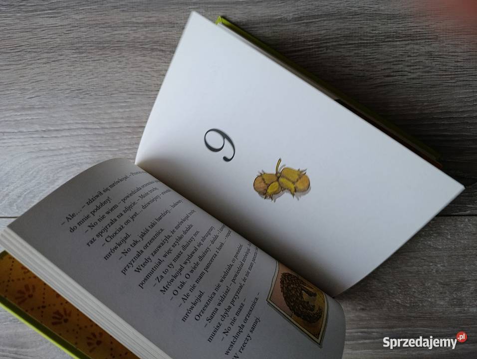 dziwne zwierzęta olsson thore Poznań