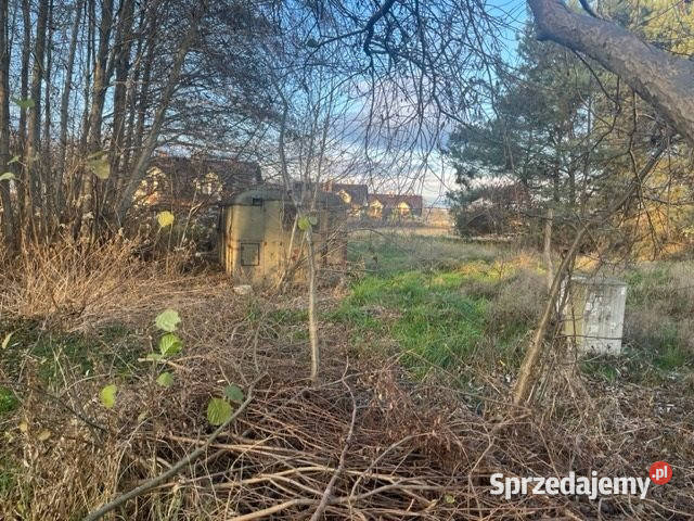 Sprzedaż gruntu Oleśniczka 1163m2