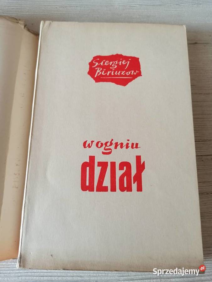 W Ogniu Dział Siergiej Biriuzow MON wydanie Bielsko-Biała
