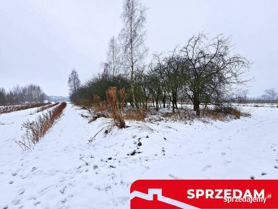 Drewniany dom z dużą działką pole sad las Karczmiska Pierwsze sprzedam