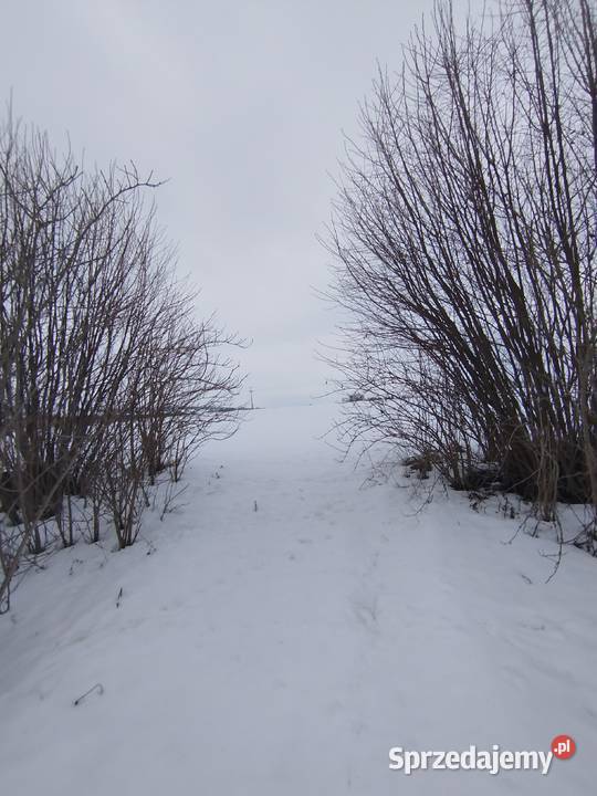 Sprzedam siedlisko z polem ornym klasy Telatyn