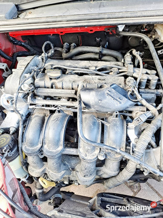 FORD FOCUS 3 MK3 NA CZĘŚCI 16 B 16V 1019 SILNIK Sosnowiec sprzedam