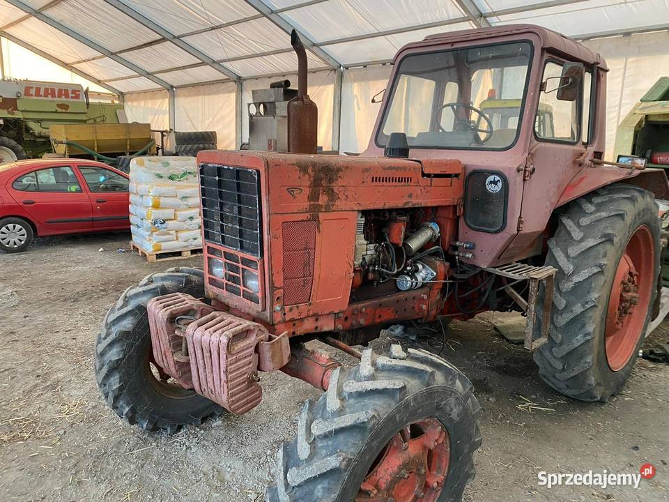 Sprzedam ciągnik rolniczy MTZ82 1986 23000 Włoszakowice
