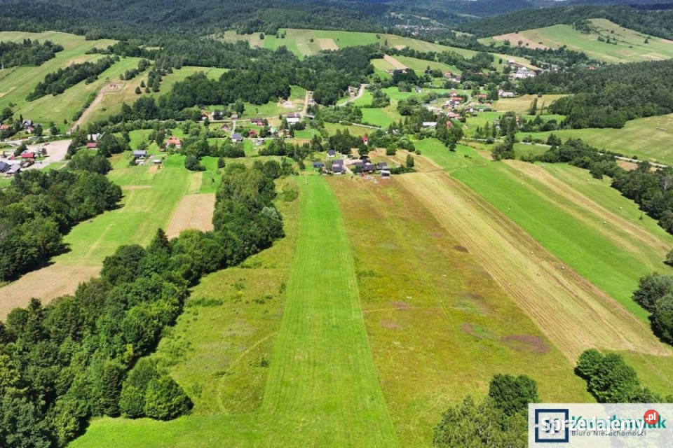 sprzedaży gruntu 22010m2 Wańkowa Sprzedaż sprzedam