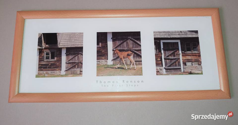 Zestaw półmiski szkło talerze ceramika ramki inny kolor śląskie Częstochowa sprzedam