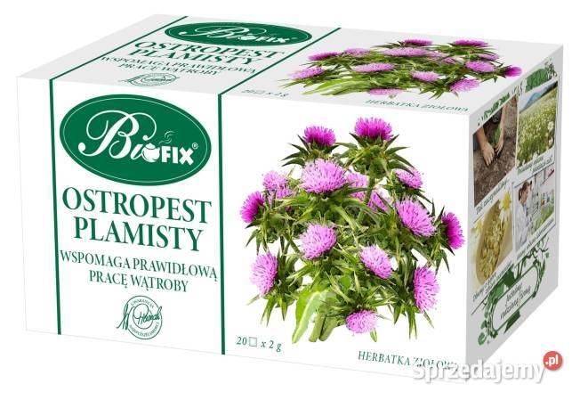 Bifix herbata morwa biała ostropest plamisty Ziołowa Stare Miasto sprzedam