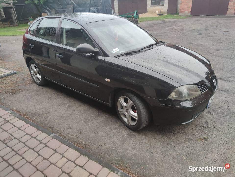 Seat Ibiza 14
