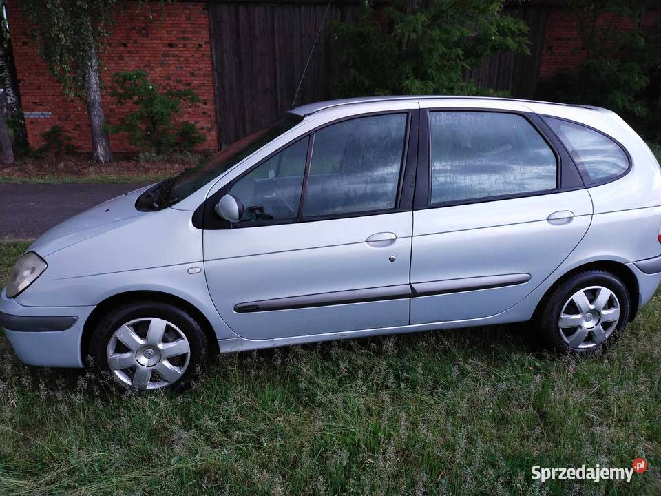 Renault Scenic Pleszew