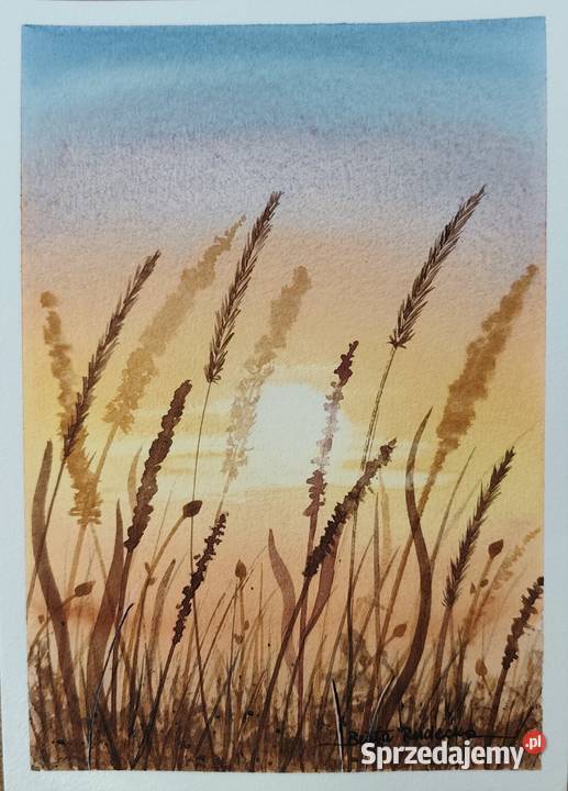 Oryginalna Akwarela Łąka 3 Unikat Sygnowany Poznań sprzedam