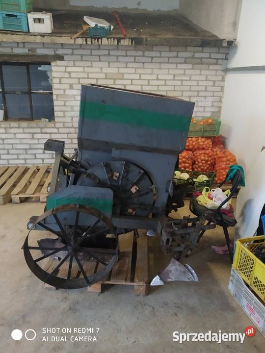 Sadzarka do ziemniaków Polska Radzyń Podlaski