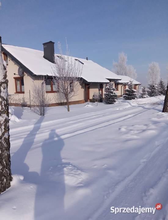 Dom z garażem wolnostojącym dwustanowiskowym i Biskupie-Kolonia