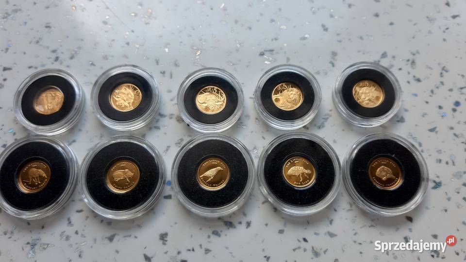 Najmniejsze BIG Five Little Five ZŁOTO Kędzierzyn-Koźle