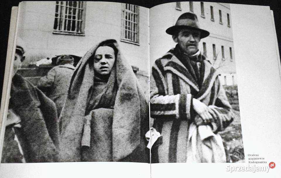 Radogoszcz Stanisław Lewicki