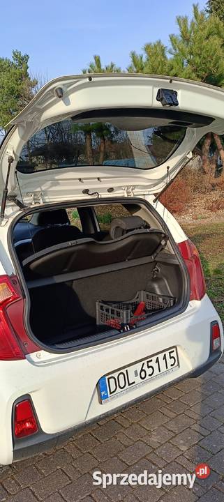 Kia Picanto z 2016 roku kupiony w polskim salonie Nieciszów