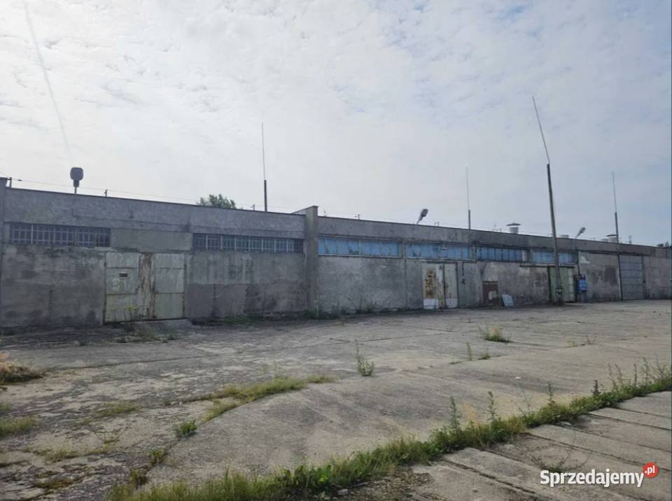 Hala Produkcja Magazyn Wynajem Czersk