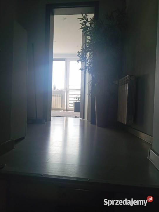 Duży dom o powierzchni 278 M2 z budynkami Lubień