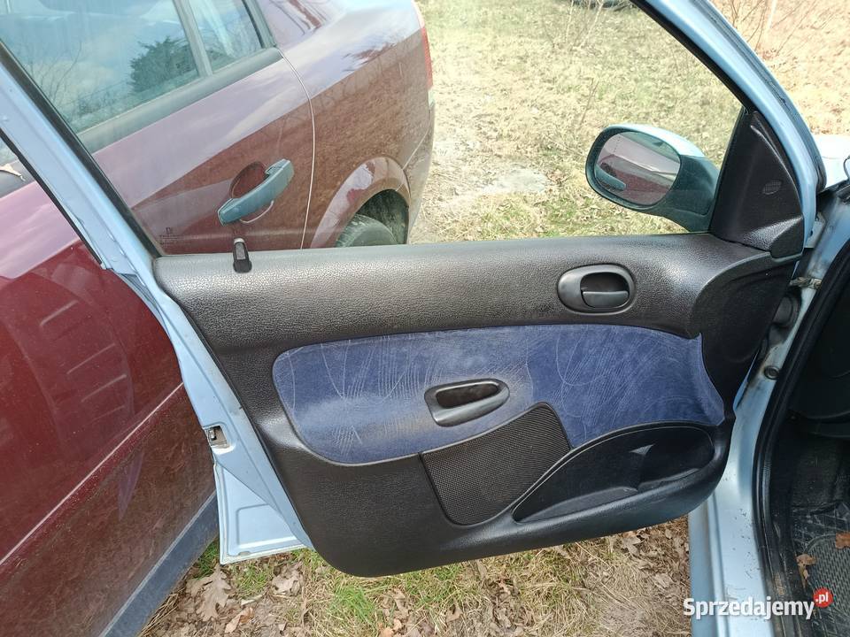 Peugeot 206 20 66 kW 2001 r dawca części Szklarka Myślniewska