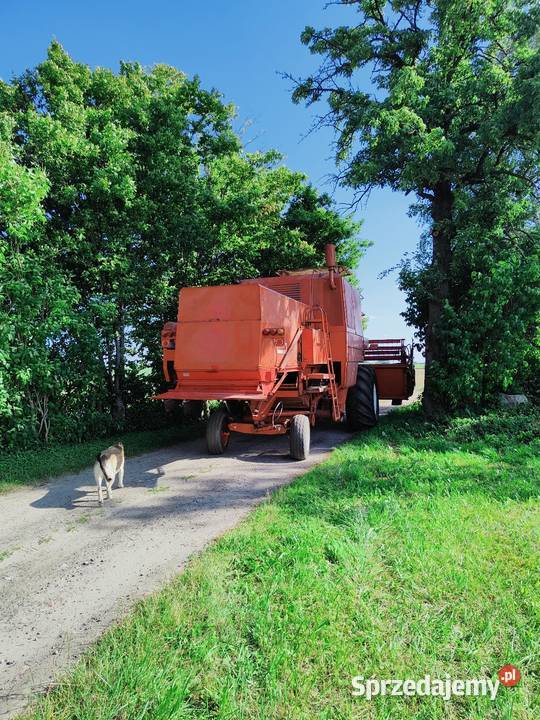 Sprzedam kombajn zbożowy bizon super 56 Bizon Jabłonowo Pomorskie