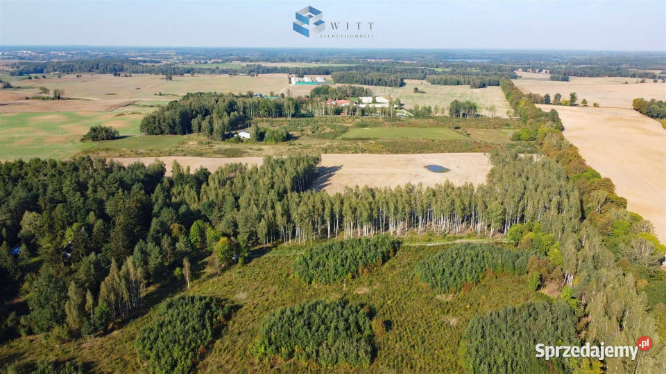 Grunt 1148m2 Mokiny budowlana Sprzedaż