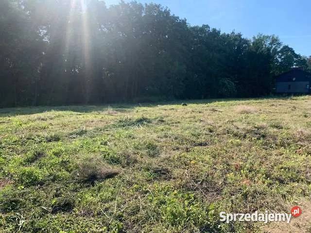 Ostatnia działka lesiesuper brak szkód 165zł/m2 Jastrzębie-Zdrój