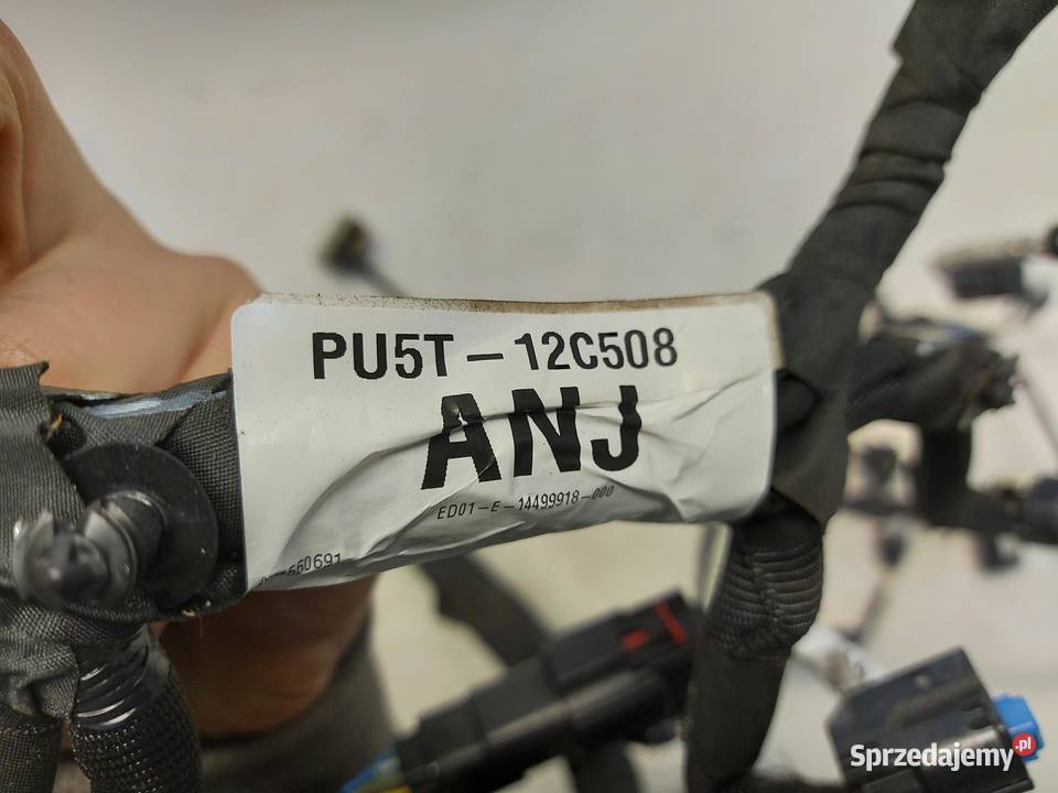 Transit Custom II wiązka instalacja na silnik osobowe