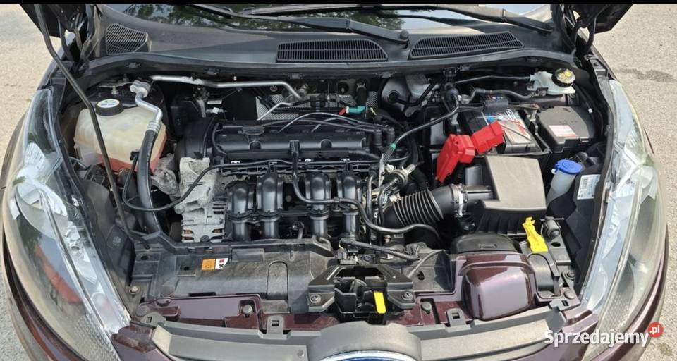 Ford Fiesta 125 TREND nieuszkodzony Mrągowo