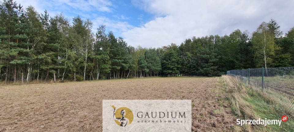 Koteże działka tuż lesie