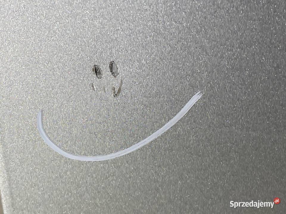 DRZWI PRAWY PRZÓD BMW E83 Van minibus 0311 osobowe Drzwi podkarpackie sprzedam