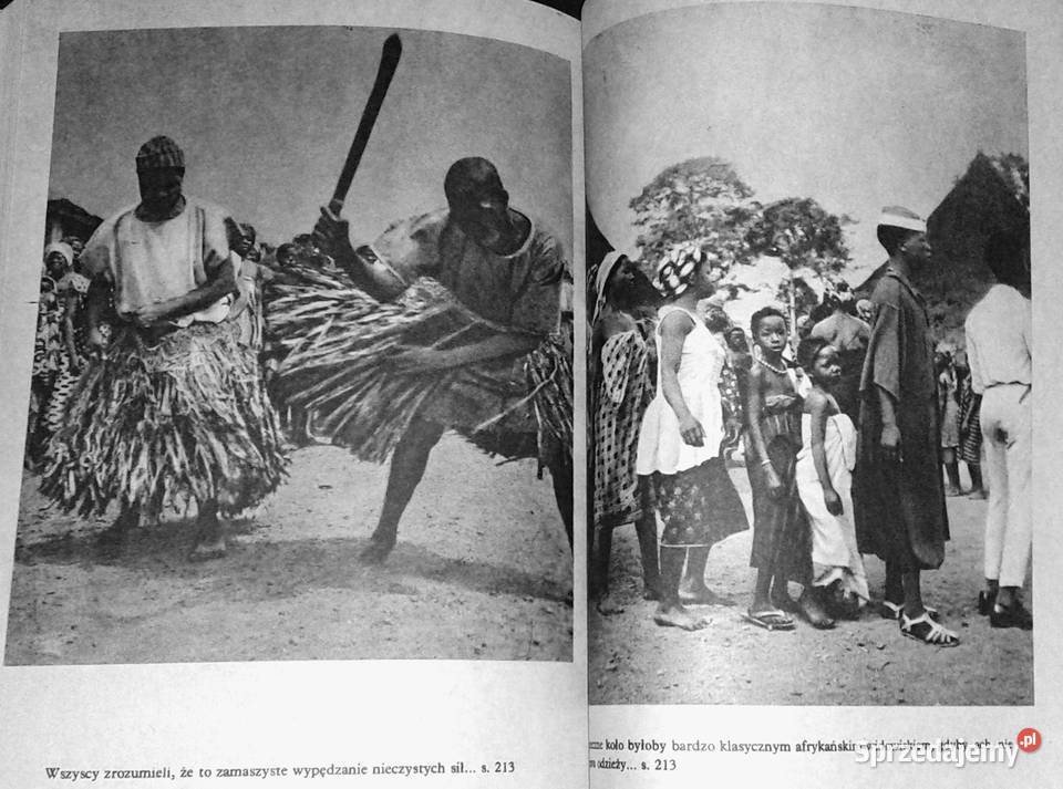 Nowa przygoda Gwinea Arkady Fiedler Chełm