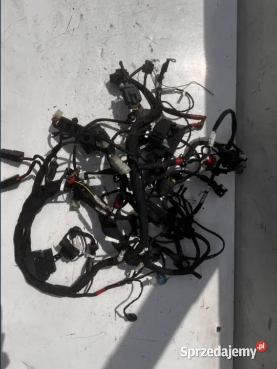 wiązka instalacja elektryczna Ducati SuperSport Wiązki elektryczne
