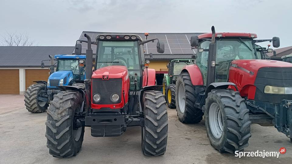 Massey Ferguson 6480 Żabno