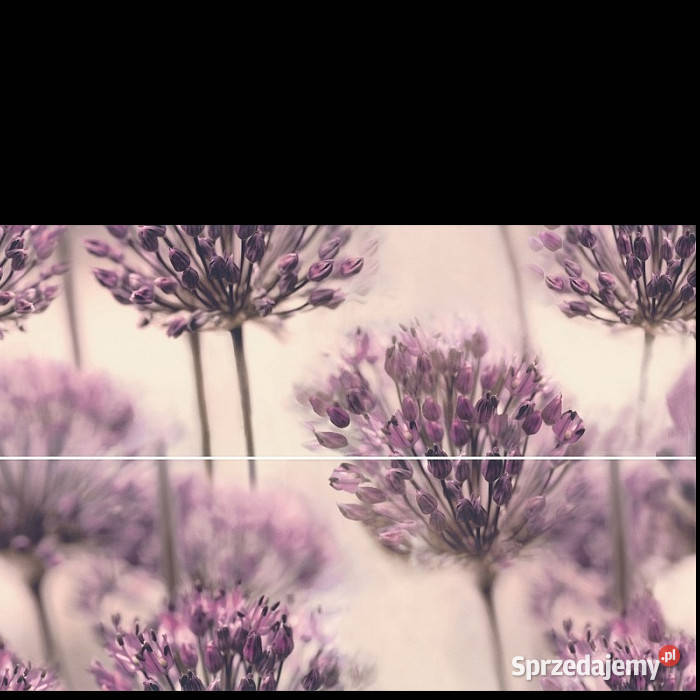 Dekor 2elementowy Flint Dandelion 2 x 25 x 75 zachodniopomorskie Białogard