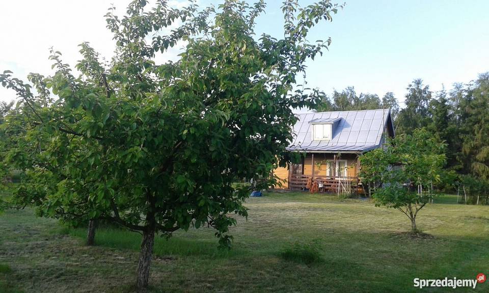 Zagospodarowane siedlisko sprzedam siatka Sypniewo