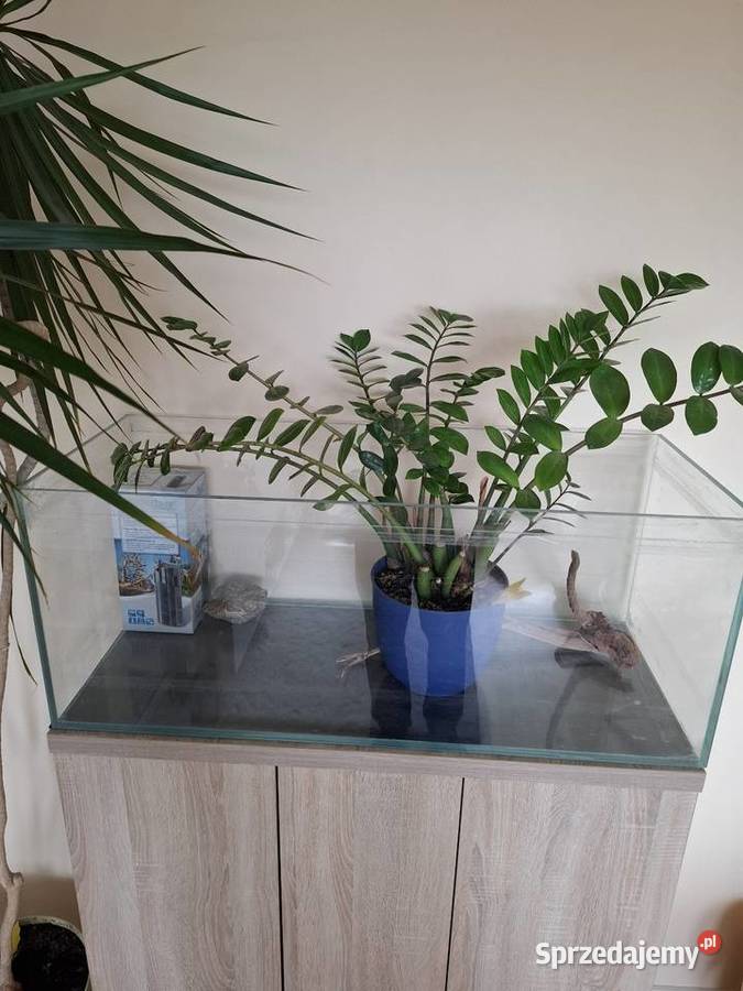 Sprzedam akwarium Aquael opti 160l Warszawa sprzedam