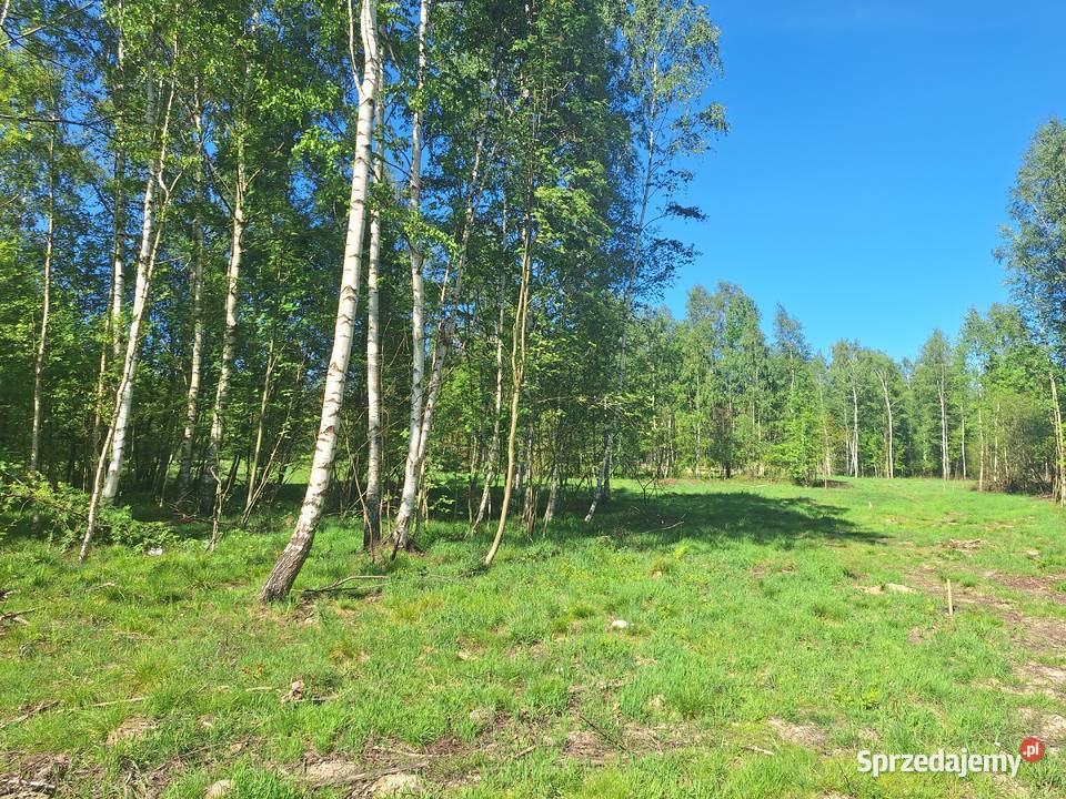 Działki w Małej Kamienicy Stara Kamienica