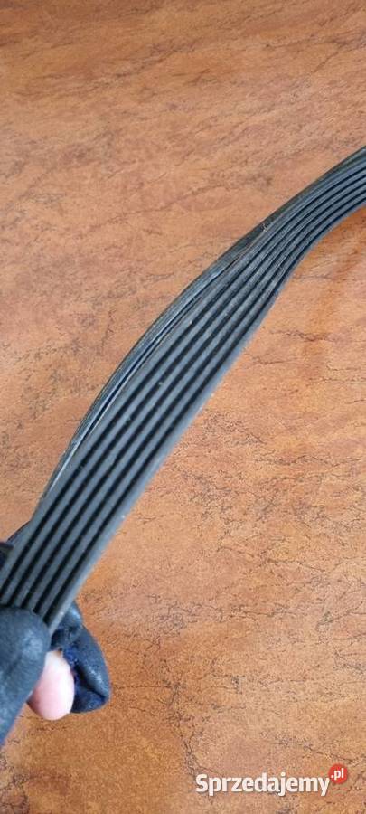 Pasek wieloklinowy Bmw 91 Ruda