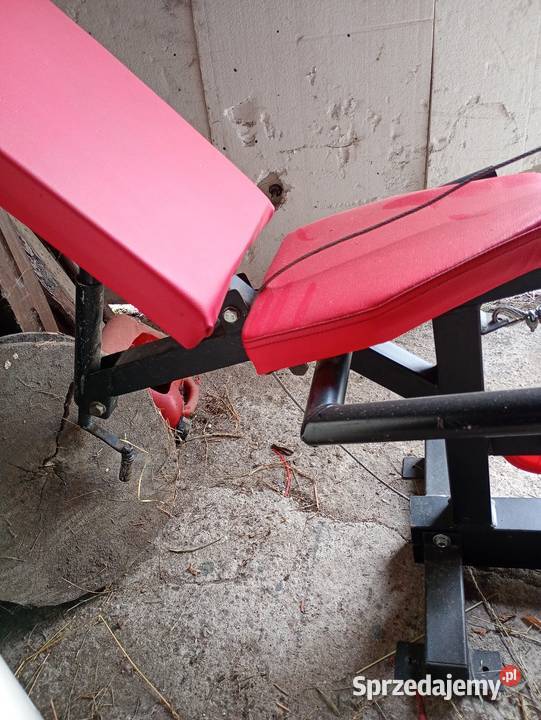 Prasa kelton Twarogi