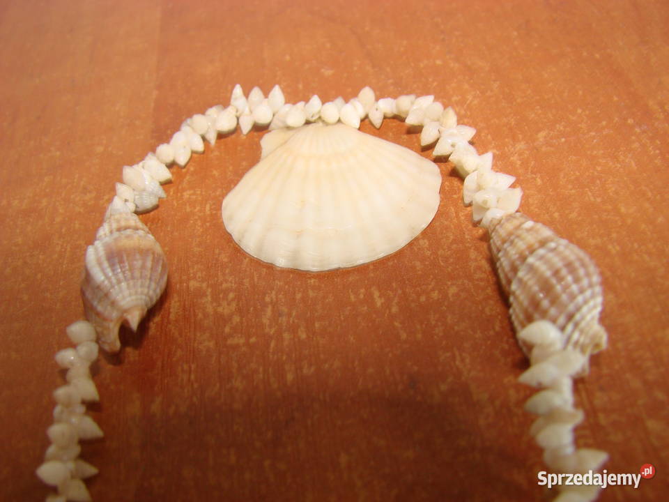 naszyjnik z muszelek Pruszcz Gdański