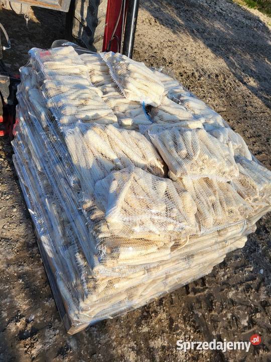 Warzywa pietruszka marchew ziemniaki Jędrzejów sprzedam