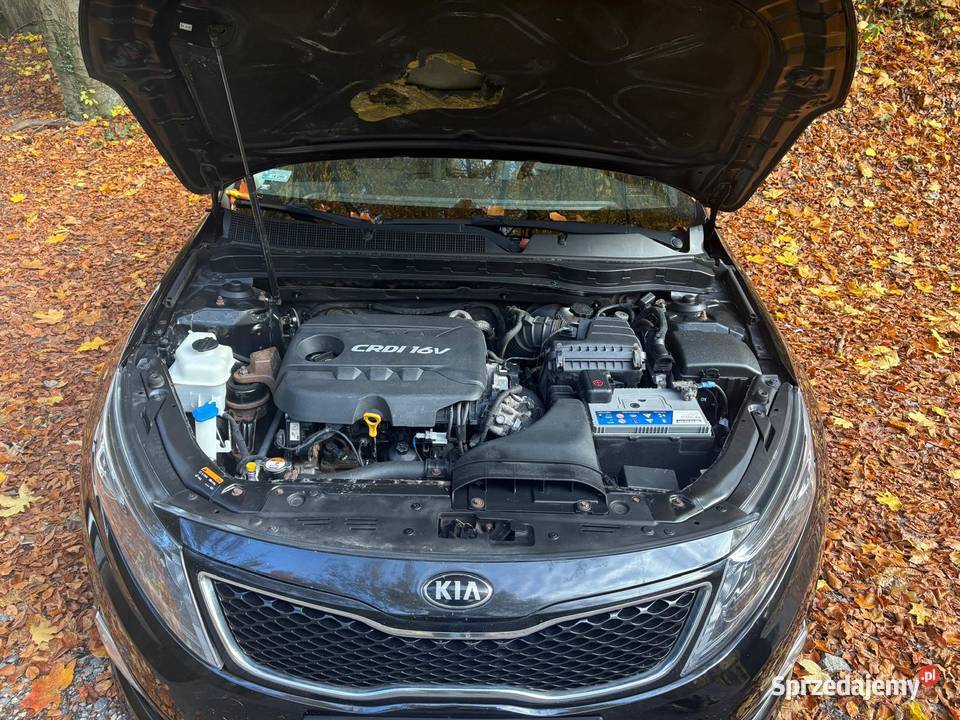 Kia Optima Kraków