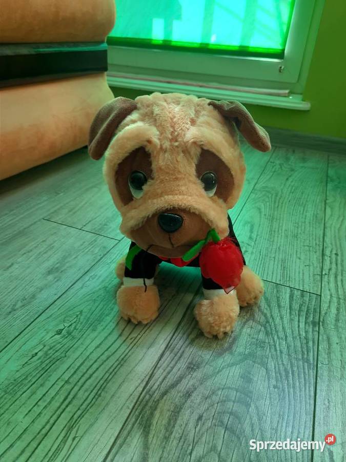 10 pluszaków dzieci Pozostałe Goleniów