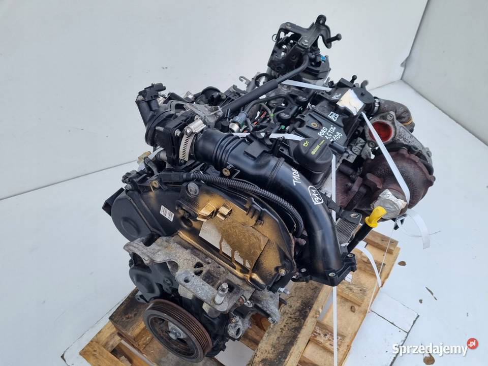 SILNIK Ford C C II 16 TDCI 115 T1DA T1DB Janów